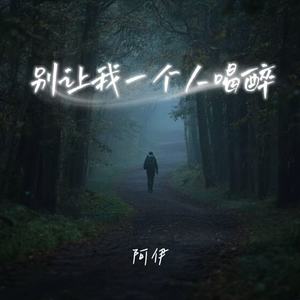 别让我一个人喝醉