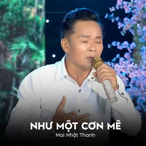 Như Một Cơn Mê