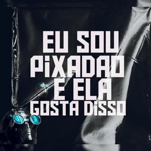 Eu Sou Pixadão e Ela Gosta Disso (feat. DJ Daniel SGP)