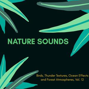 Nature Sounds - Birds, Thunder Textures, Ocean Effects and Forest Atmospheres, Vol. 12