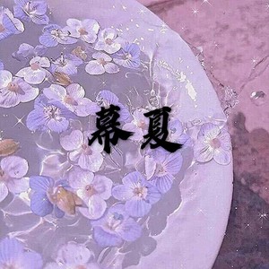 那一夜 (DJ版)