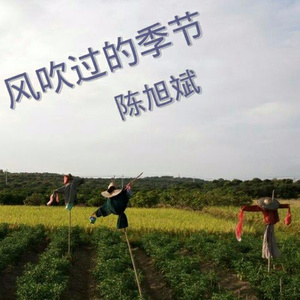 风吹过的季节