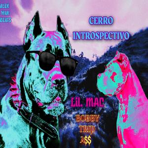 Cerro Introspetivo (feat. Lil Mac) [Explicit]