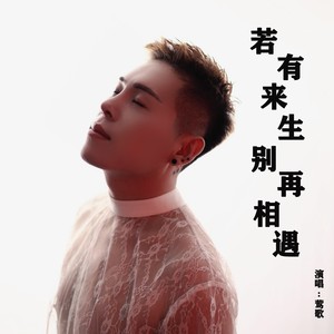若有来生别再相遇-莺歌