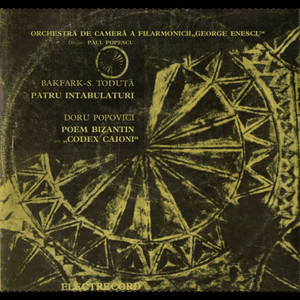 Codex Caioni for String Orchestral Orchestra - VI. Pastorală