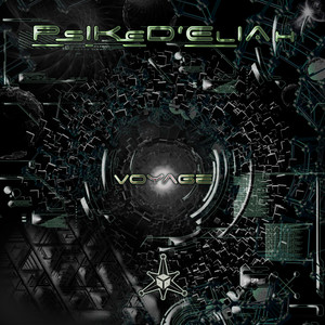 Clean Distortion (Original Mix)