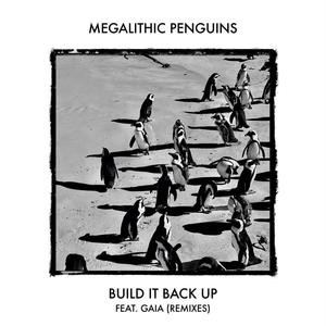 Build It Back Up (Remixes)