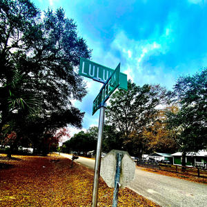 Down south nigga (Explicit)