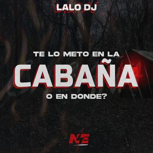 TE LO METO EN LA CABAÑA O EN DONDE?