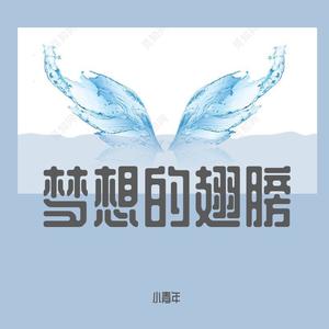 梦想的翅膀封面