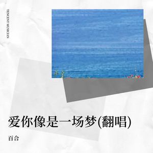 微风细雨 (Live)封面