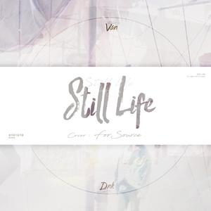 春夏秋冬 (still life)