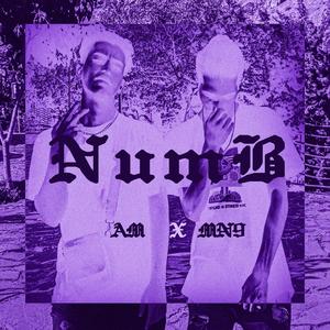 Numb (feat. AlirezaM) (Explicit)