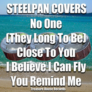 Steelpan Covers