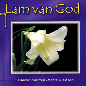 Aanschouw Het Lam Van God