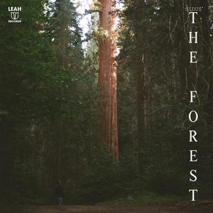 The Forest (Explicit)