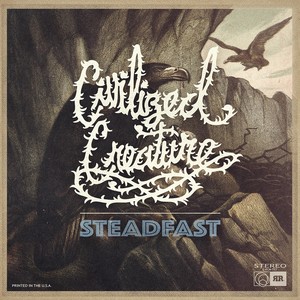 Steadfast