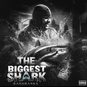 The Biggest Shark (Explicit)