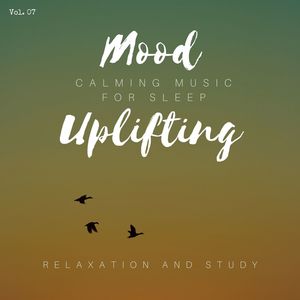 Mood Uplifting - Calming Music For Sleep, Relaxation And Study, Vol. 07