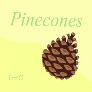 Pinecones