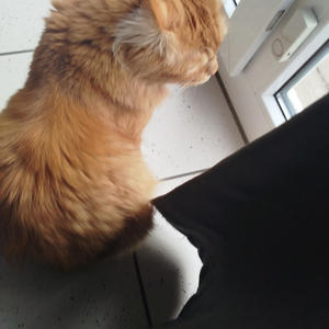 Danke für alles Familie