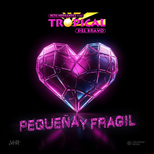 Pequeña y Frágil (En Vivo)