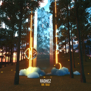 Mr. Mad (Original Mix)