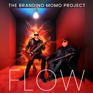 The Brandino Momo Project in the Flow