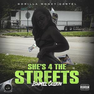 She's 4 The Streets (Explicit)