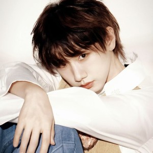 命运线 - 去北极忘记你