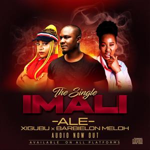 Imali (feat. Barbielon Meloh & Xigubu)