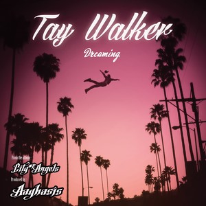 Dreaming (feat. Tay Walker) - Single