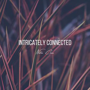 Intricately Connected