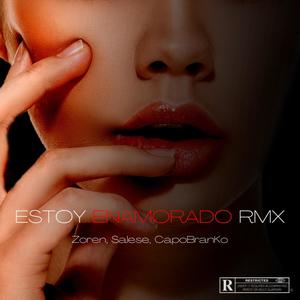 ESTOY ENAMORADO (feat. Zoren) [Remix]