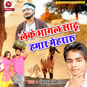 Leke Bhagal Sadhu Hamar Mehraru - Single