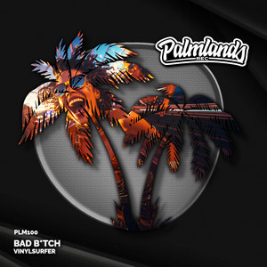 Vinylsurfer - Bad B*tch (Extended Mix|Explicit)