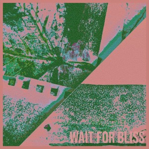 Wait for Bliss