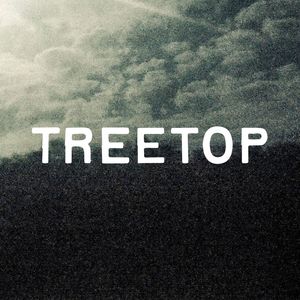 TreeTop - Andante