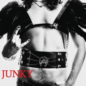 Junky (Explicit)