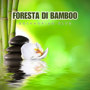 Foresta di bamboo