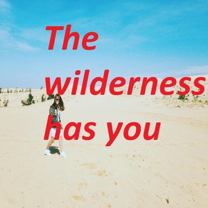 The wilderness has you .