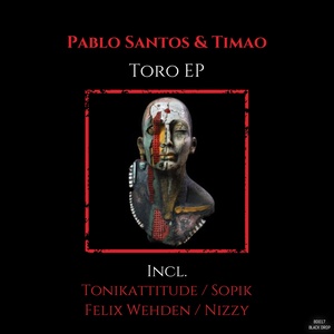 Toro (Original Mix)