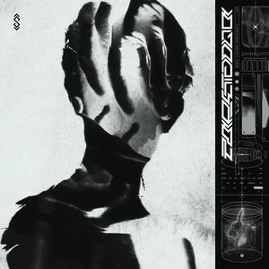 Reanimate(feat. Metehan Tunçbilek)