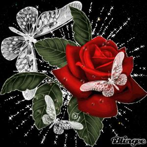 Drank (Slowed) (Explicit)