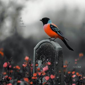 All That Really Matters