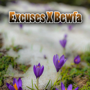 Excuses X Bewfa