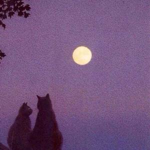 Ice Paper-心如止水Remix (王凯不睡觉 / 许荣荣 remix)