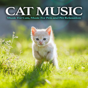 Cat Music: Music For Cats, Music For Pets and Pet Relaxation