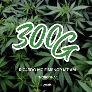 300G (Explicit)