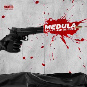 MEDULA (Explicit)